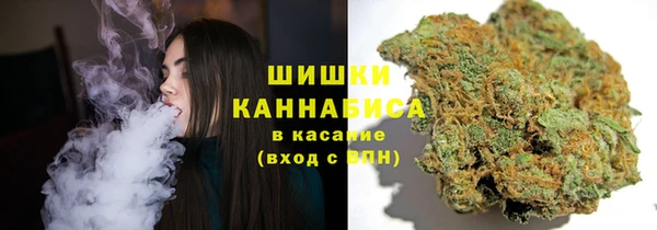 бошки Белокуриха
