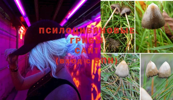 дурь Беломорск
