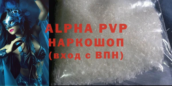 бошки Белокуриха