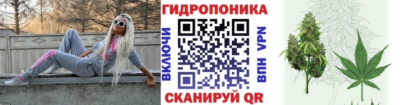 Бошки Шишки сатива  hydra tor  Надым 